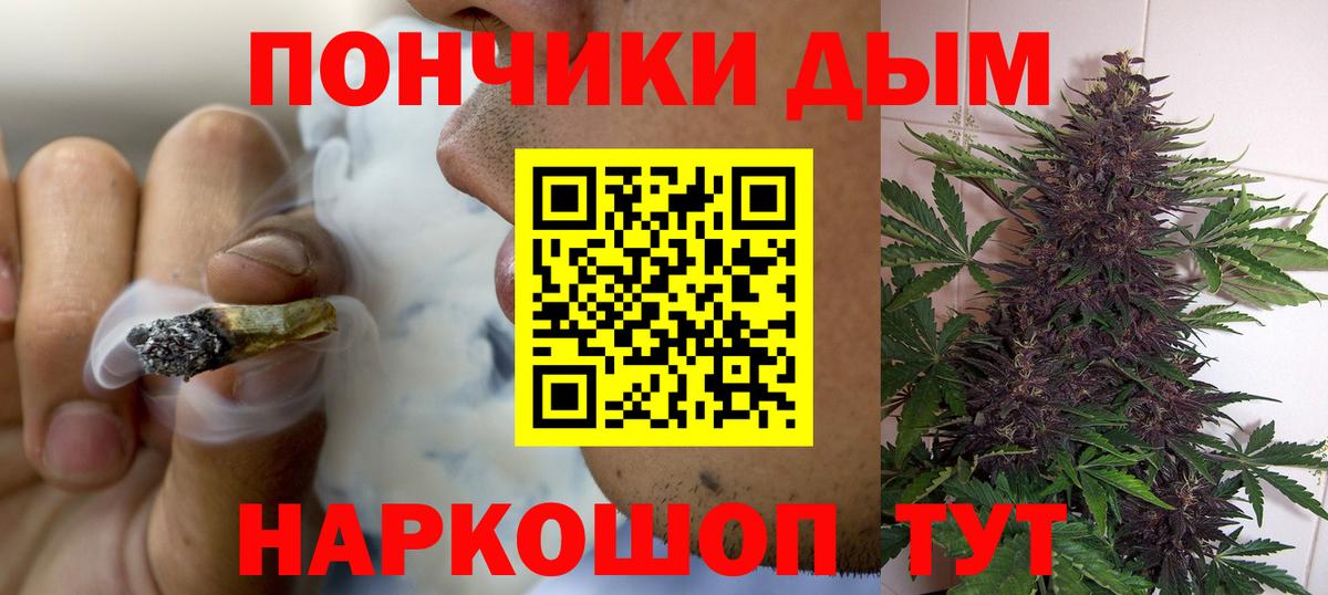 Бошки Шишки планчик Верхняя Пышма